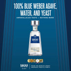 1800 Tequila Blanco 1.75L (80 Proof)
