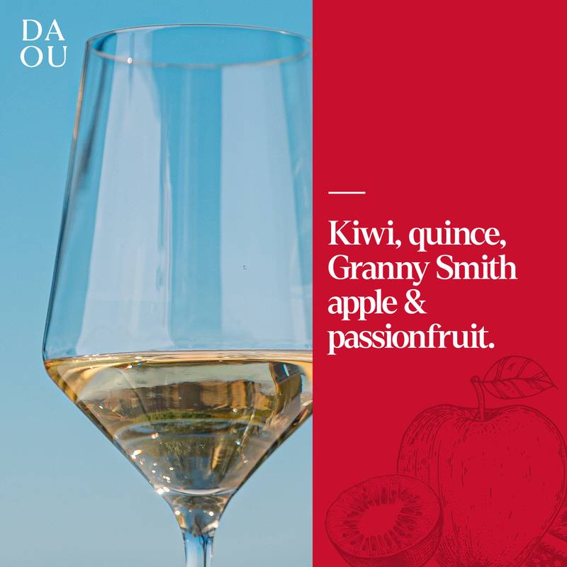 DAOU Paso Robles Sauvignon Blanc 750ml