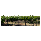 Bezel Chardonnay 750ml