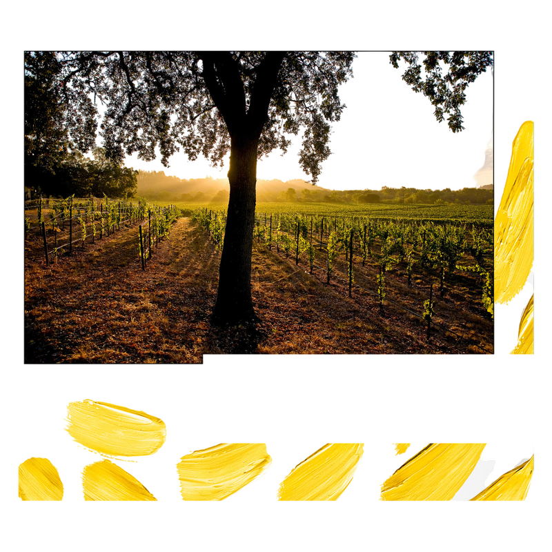 J Vineyards Pinot Gris 750ml
