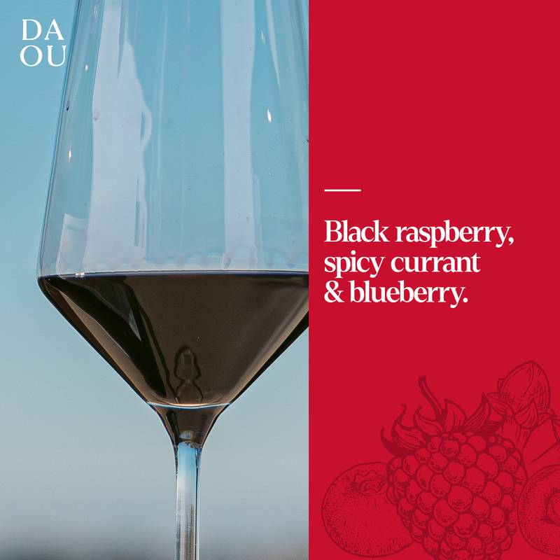 DAOU Vineyards Cabernet Sauvignon 750ml