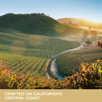 Justin Sauvignon Blanc 750ml